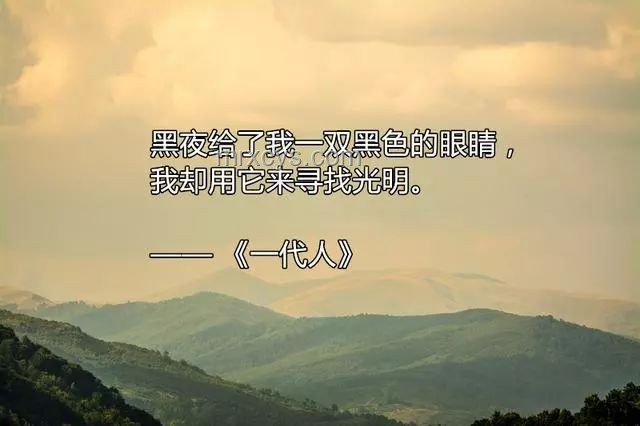 诗人郑愁予去世应对方案：缅怀、传承与文学界响应